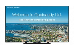 Информационный дисплей Sharp 80